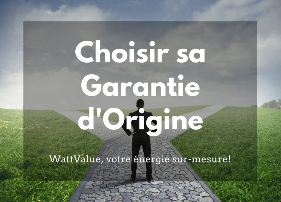 Le Monde Eco & Entreprise : Consommer l’électricité autrement