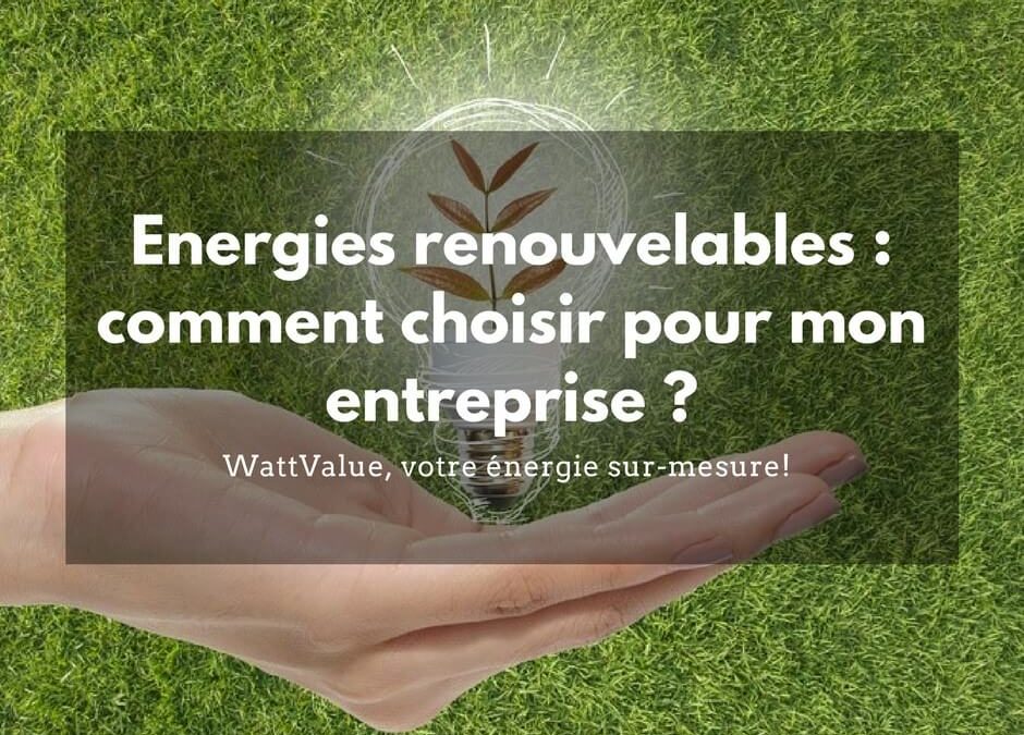 Energies renouvelables : Comment choisir pour mon entreprise ?