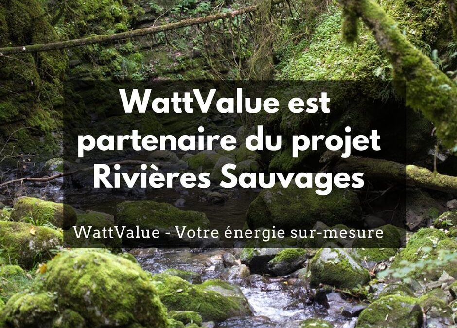 WattValue est partenaire du projet Rivières Sauvages