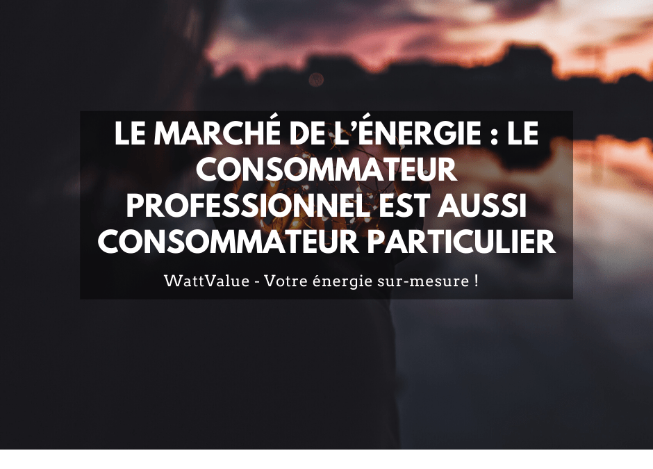 Le marché de l’énergie : le consommateur professionnel est aussi consommateur particulier