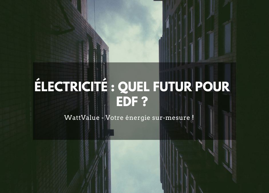 Électricité : quel futur pour EDF ?