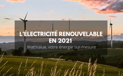 L’électricité renouvelable en 2021